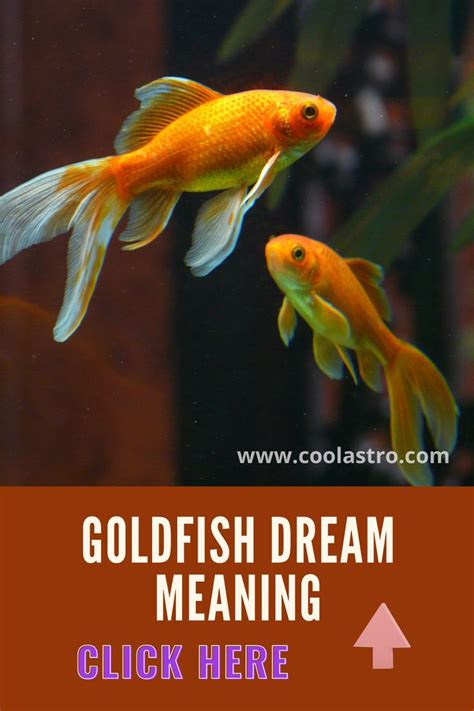 The Spiritual and Cultural Significance of Petite Goldfish in Dreams