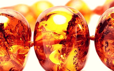 The Story and Origins of Amber Elixir