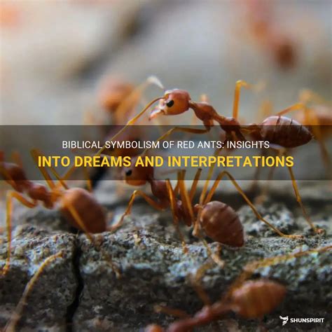 The Strength of Collaboration: Insights from Ants in Dreams and Reality