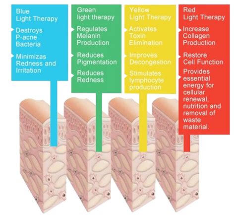 The Surprising Benefits of Transparent Epidermis in Various Species