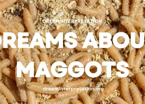 The Symbolic Importance of Maggots in Dreams Involving the Nasal Region