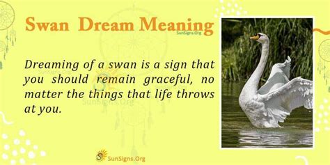 The Symbolic Interpretation of Swan Dreams: Decoding Their Cryptic Messages