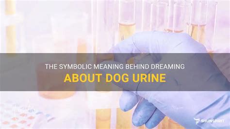 The Symbolic Meaning Behind Dreaming About Urination