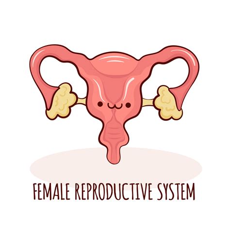 The Symbolic Meaning behind Dreams about the Removal of the Female Reproductive Organ