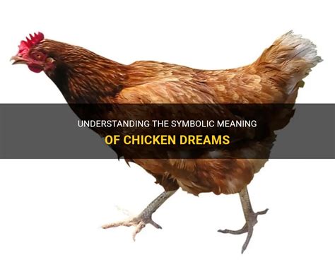 The Symbolic Meaning of Chickens in Dreams