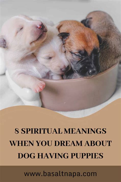 The Symbolic Meaning of Dreaming about Puppies