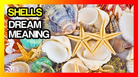 The Symbolic Meaning of Dreaming about Shattering Shells