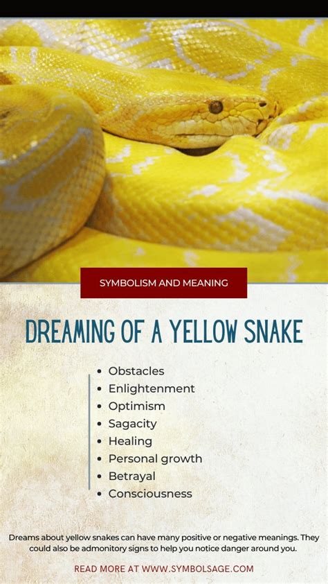 The Symbolic Meaning of Dreaming about a Yellow Snake