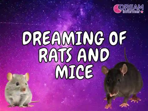 The Symbolic Meaning of Dreams: Rats and the Consumption of Mice