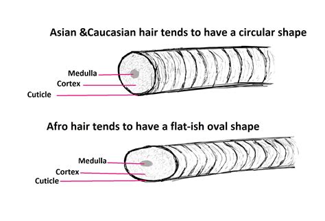 The Symbolic Meaning of Extracting Silver Strands from One's Tresses