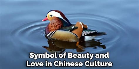 The Symbolic Meaning of Mandarin Ducks in Chinese Culture