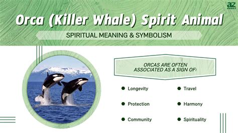 The Symbolic Meaning of Orcas in Indigenous Cultures