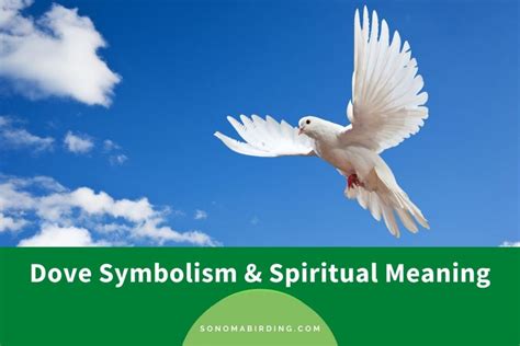 The Symbolic Meaning of Pure Doves