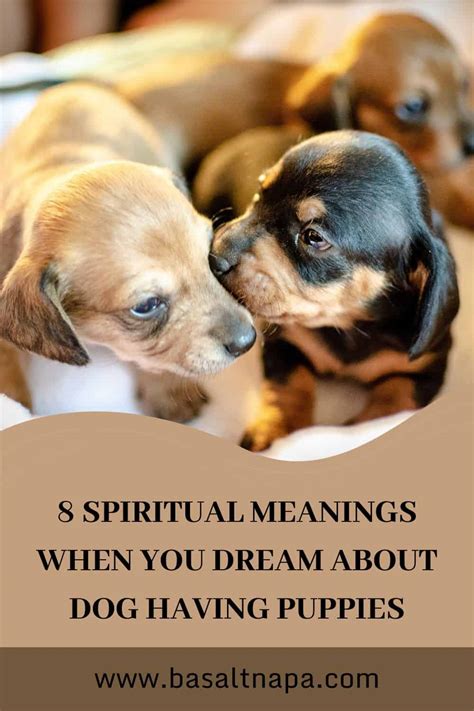 The Symbolic Meaning of Receiving a Pup in One's Dreams