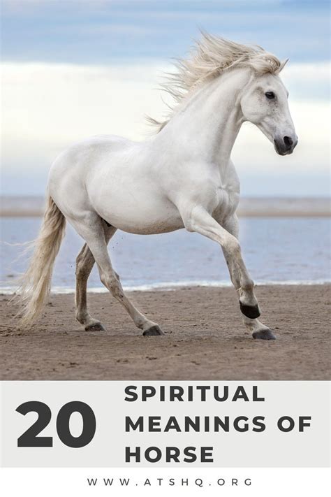 The Symbolic Meaning of a Pure Young Equine