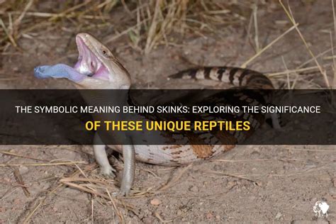 The Symbolic Meaning of a Reptile Crawl on the Surface