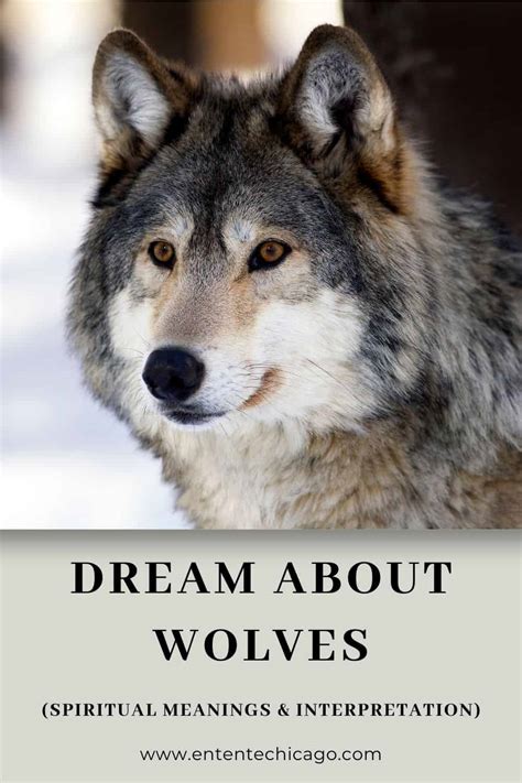 The Symbolic Meaning of a Wolf's Aggression in Dream Analysis