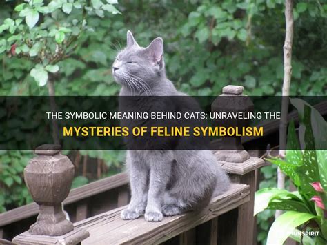 The Symbolic Meaning of the Feline Predator Devouring the Sly Reptile in Visions