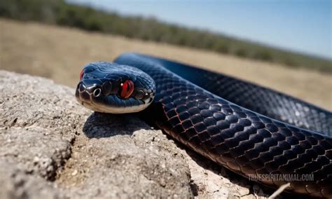 The Symbolic Meaning of the Red Belly Black Serpent