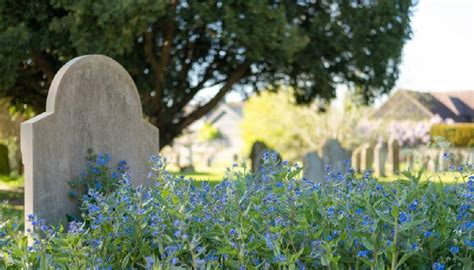 The Symbolic Meanings of Standing on a Grave