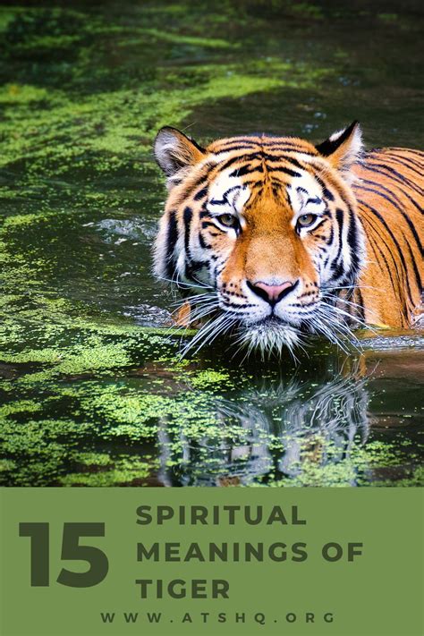 The Symbolic Meanings of Tigers in Different Cultures