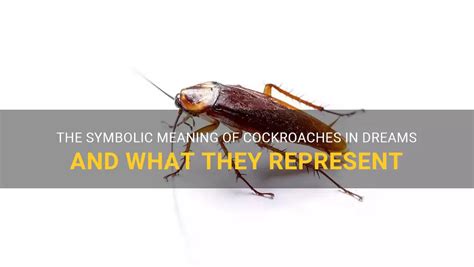 The Symbolic Meanings of Tiny Cockroaches in Dreams