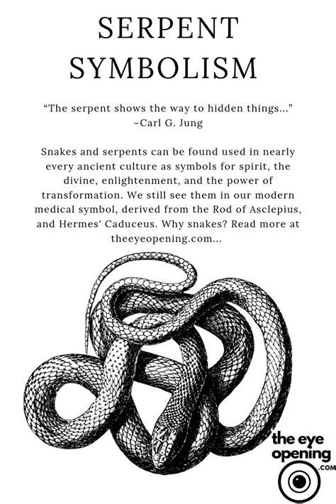 The Symbolic Nature of Serpents in Dream Imagery