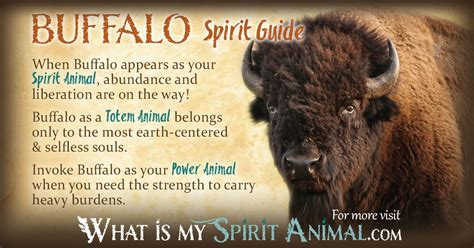 The Symbolic Power of Riding a Buffalo: Exploring the Deeper Meanings