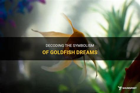 The Symbolic Representation of Goldfish