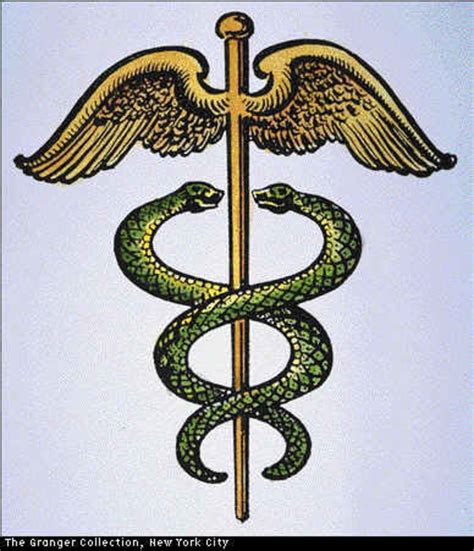 The Symbolic Representation of Serpents in Ancient Mythology