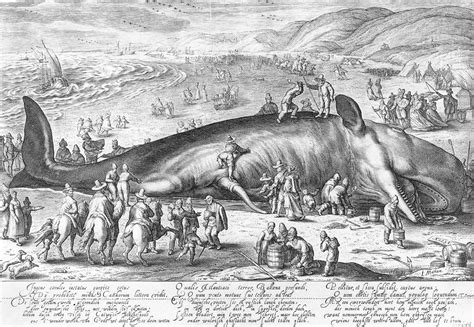 The Symbolic Representation of the Whale in Literature and Art