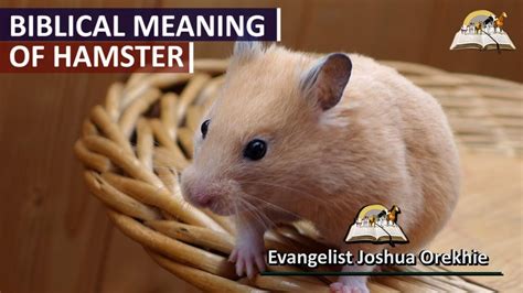 The Symbolic Significance of Albino Hamsters in Dreams