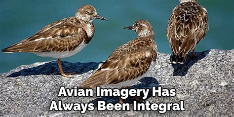 The Symbolic Significance of Avians in Oneiric Imagery