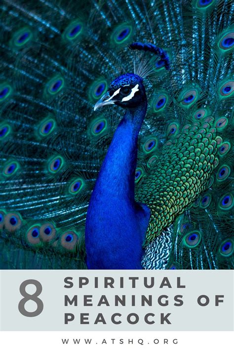 The Symbolic Significance of Beholding a Splendid Peacock