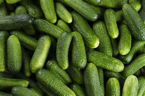 The Symbolic Significance of Cucumbers in Dreams