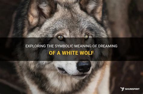 The Symbolic Significance of Dreaming About an Expecting Wolf