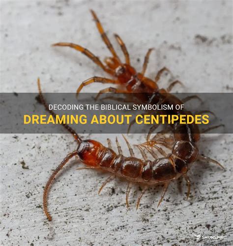 The Symbolic Significance of Dreaming about a Centipede