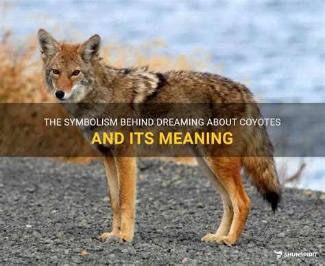 The Symbolic Significance of Dreaming about a Pack of Coyotes