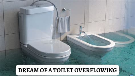 The Symbolic Significance of Dreams Associated with Overflowing Toilet Bowl