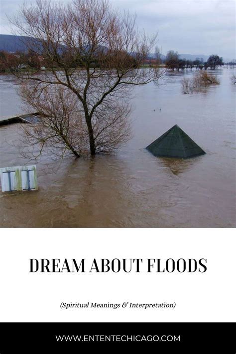 The Symbolic Significance of Dreams Portraying Flooding