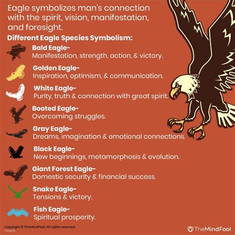 The Symbolic Significance of Eagles in Different Cultures