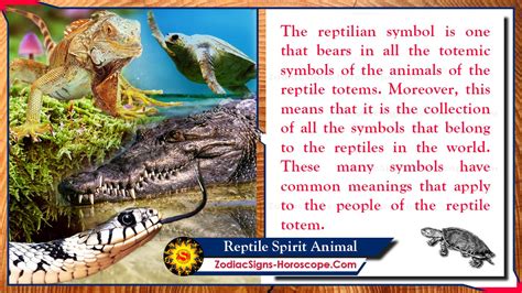 The Symbolic Significance of Encountering a Reptile in Aquatic Surroundings