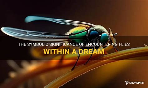 The Symbolic Significance of Flies in the Realm of Dream Psychology