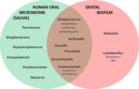 The Symbolic Significance of Flora Emerging From the Human Oral Cavity