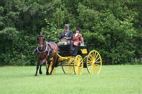 The Symbolic Significance of Guiding a Carriage: Unveiling the Veiled Significations