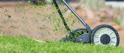 The Symbolic Significance of Lawn Maintenance in Dreams