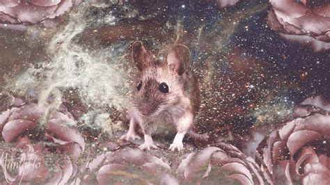 The Symbolic Significance of Mouse Excrement in Dreams