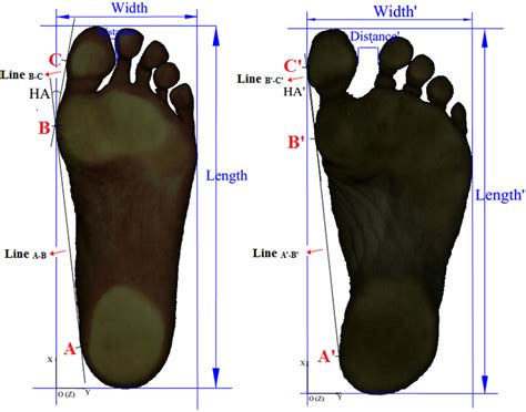 The Symbolic Significance of Observing Another Individual's Unshod Feet