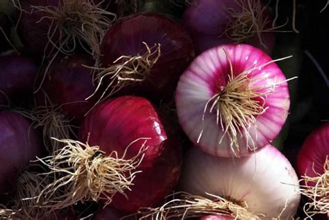 The Symbolic Significance of Onions in Dreams