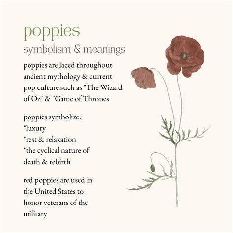 The Symbolic Significance of Poppy Flowers in Diverse Cultures